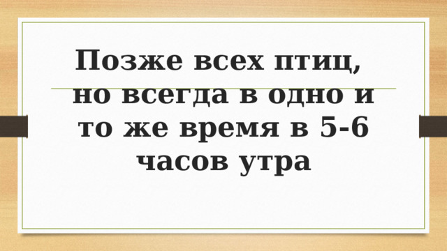 Позже всех птиц,  но всегда в одно и то же время в 5-6 часов утра   