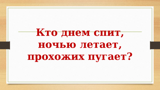 Кто днем спит, ночью летает, прохожих пугает? 