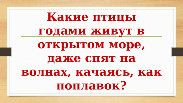 Какие птицы годами живут в открытом море, даже спят на волнах, качаясь, как поплавок? 