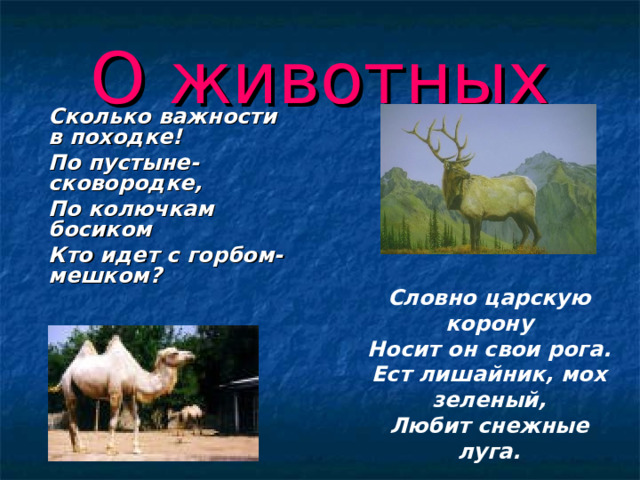 О животных  Сколько важности в походке!  По пустыне- сковородке,  По колючкам босиком  Кто идет с горбом- мешком? Словно царскую корону Носит он свои рога. Ест лишайник, мох зеленый, Любит снежные луга. 