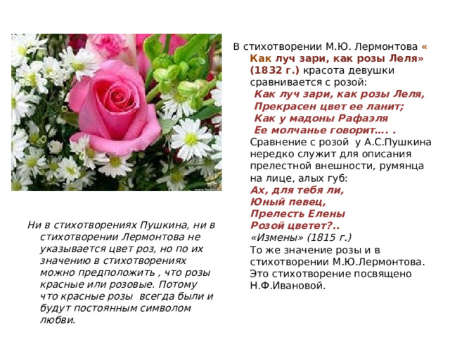 В стихотворении М.Ю. Лермонтова « Как луч зари, как розы Леля» (1832 г.) красота девушки сравнивается с розой:   Как луч зари, как розы Леля,  Прекрасен цвет ее ланит;  Как у мадоны Рафаэля  Ее молчанье говорит…. .  Сравнение с розой у А.С.Пушкина нередко служит для описания прелестной внешности, румянца на лице, алых губ:  Ах, для тебя ли,  Юный певец,  Прелесть Елены  Розой цветет?..  «Измены» (1815 г.)  То же значение розы и в стихотворении М.Ю.Лермонтова. Это стихотворение посвящено Н.Ф.Ивановой. Ни в стихотворениях Пушкина, ни в стихотворении Лермонтова не указывается цвет роз, но по их значению в стихотворениях можно предположить , что розы красные или розовые. Потому что красные розы всегда были и будут постоянным символом любви. 
