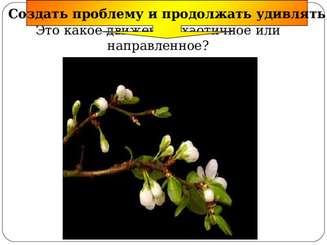 Создать проблему и продолжать удивлять Это какое движение: хаотичное или направленное? 