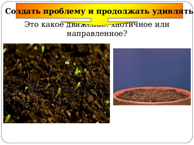 Создать проблему и продолжать удивлять Это какое движение: хаотичное или направленное? 