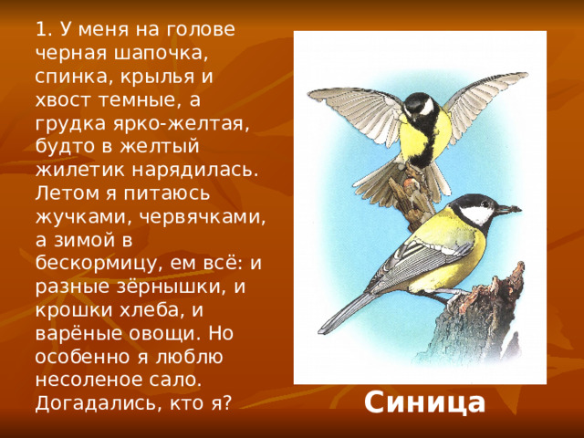 1. У меня на голове черная шапочка, спинка, крылья и хвост темные, а грудка ярко-желтая, будто в желтый жилетик нарядилась. Летом я питаюсь жучками, червячками, а зимой в бескормицу, ем всё: и разные зёрнышки, и крошки хлеба, и варёные овощи. Но особенно я люблю несоленое сало. Догадались, кто я? Синица 