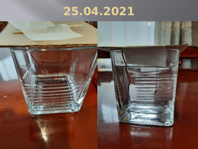 25.04.2021 