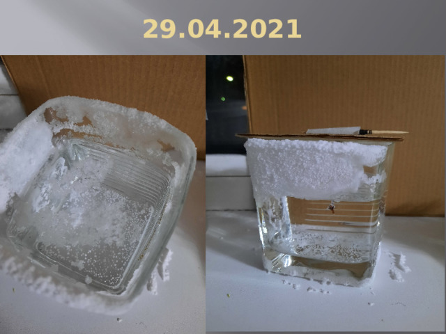 29.04.2021 