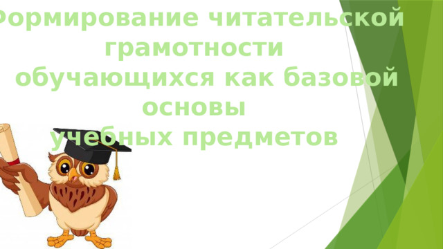 Формирование читательской грамотности  обучающихся как базовой основы учебных предметов 