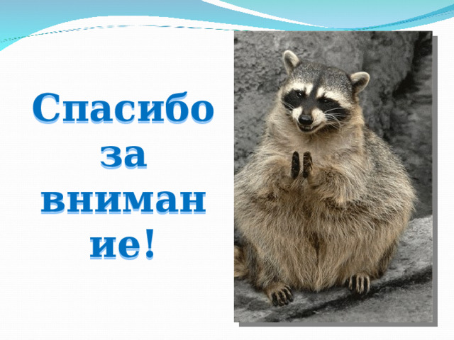 Спасибо  за внимание! 