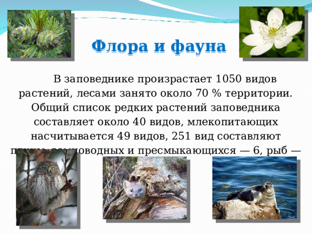 Флора и фауна В заповеднике произрастает 1050 видов растений, лесами занято около 70 % территории. Общий список редких растений заповедника составляет около 40 видов, млекопитающих насчитывается 49 видов, 251 вид составляют птицы, земноводных и пресмыкающихся — 6, рыб — 12. 