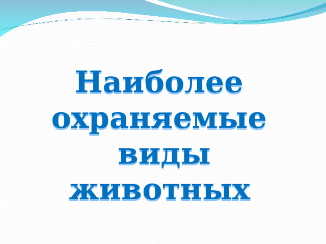 Наиболее охраняемые виды животных  