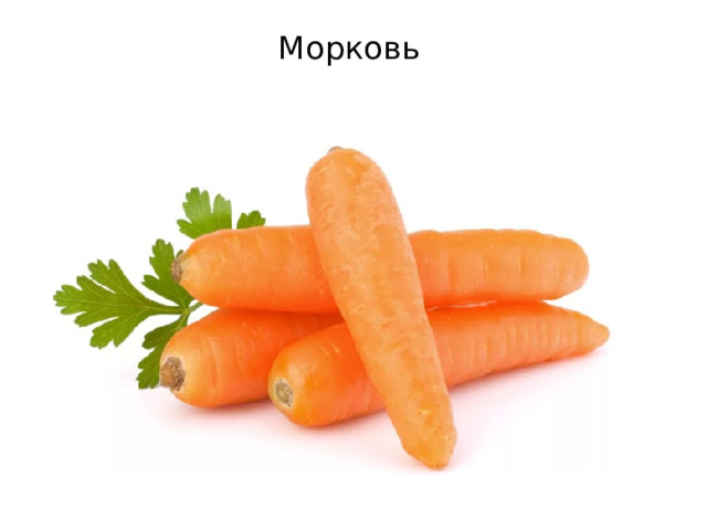 Морковь 