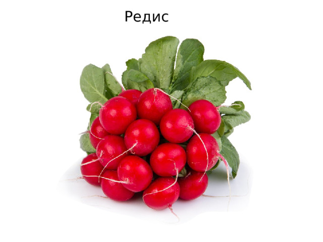 Редис 
