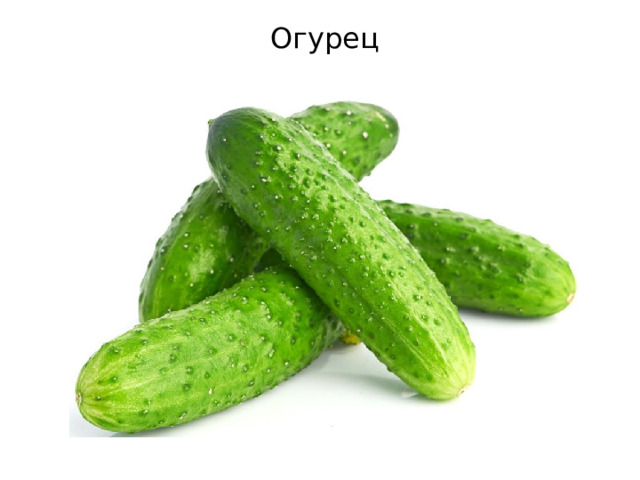 Огурец 