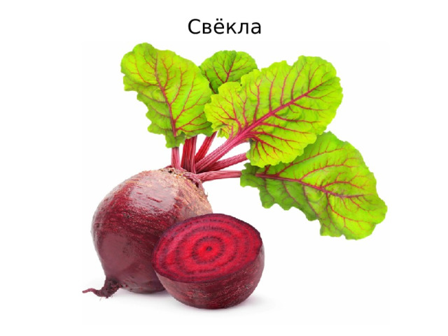 Свёкла 
