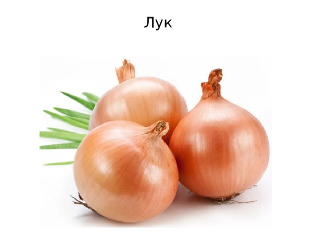 Лук 