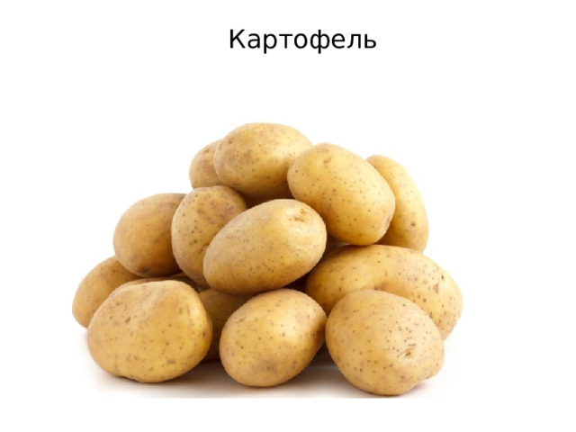 Картофель 