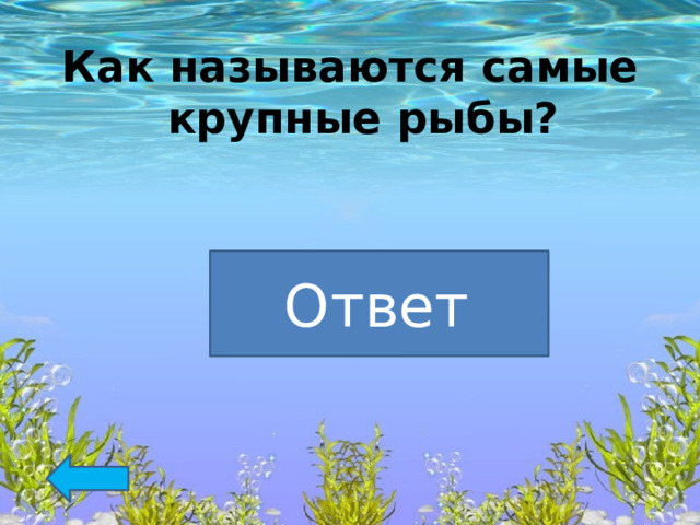 Как называются самые крупные рыбы?  Акула Ответ  