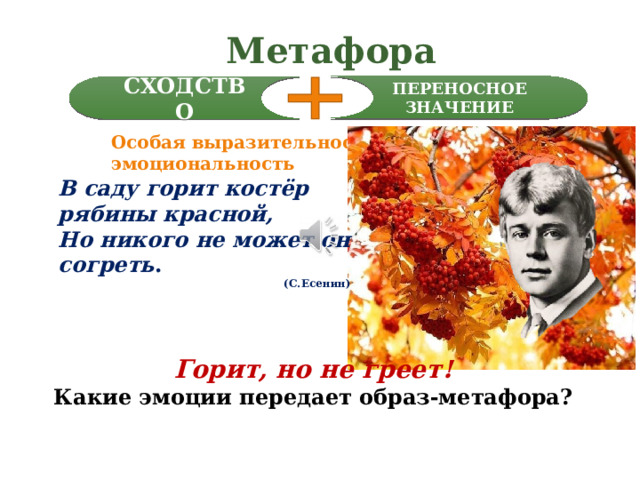 Метафора ПЕРЕНОСНОЕ ЗНАЧЕНИЕ СХОДСТВО Особая выразительность, эмоциональность В саду горит костёр рябины красной, Но никого не может он согреть .  (С.Есенин) Передавать особое эмоциональное состояние с помощью метафоры – значит находить сходство с тем, что видишь в природе, и с тем, что чувствует твоя душа.. Да, костер рябины красной горит, но ведь он не греет. Какие эмоции переполняли сердце поэта? Явно не радостные, не восторженные, не тёплые, а совсем противоположные – грусть, тоска, одиночество Горит, но не греет! Какие эмоции передает образ-метафора?  