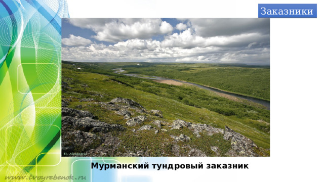 Заказники Мурманский тундровый заказник 