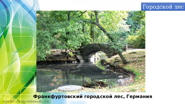 Городской лес Франкфуртовский городской лес, Германия 