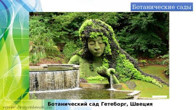 Ботанические сады Ботанический сад Гетеборг, Швеция 