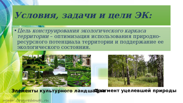 Условия, задачи и цели ЭК: Цель конструирования экологического каркаса территории  – оптимизация использования природно-ресурсного потенциала территории и поддержание ее экологического состояния. Фрагмент уцелевшей природы Элементы культурного ландшафта 