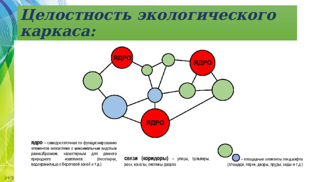 Целостность экологического каркаса: 