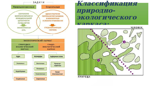 Классификация природно-экологического каркаса: 