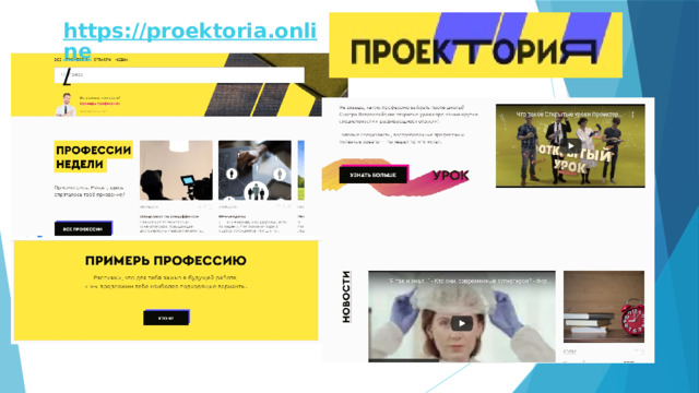 https://proektoria.online /  
