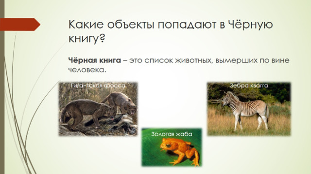 Какие объекты попадают в Чёрную книгу? 