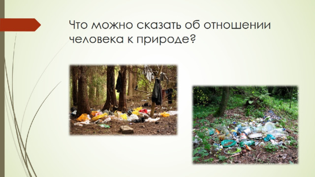 Что можно сказать об отношении человека к природе?   