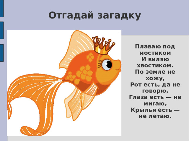 Отгадай загадку Плаваю под мостиком  И виляю хвостиком.  По земле не хожу,  Рот есть, да не говорю,  Глаза есть — не мигаю,  Крылья есть — не летаю. 