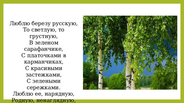 Люблю березу русскую, То светлую, то грустную, В зеленом сарафанчике, С платочками в карманчиках, С красивыми застежками, С зелеными сережками. Люблю ее, нарядную, Родную, ненаглядную, То ясную, кипучую, То грустную, плакучую. 