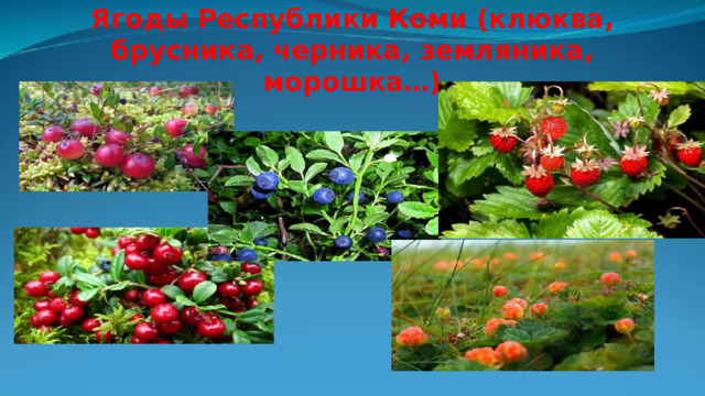 Ягоды Республики Коми (клюква, брусника, черника, земляника, морошка…) 