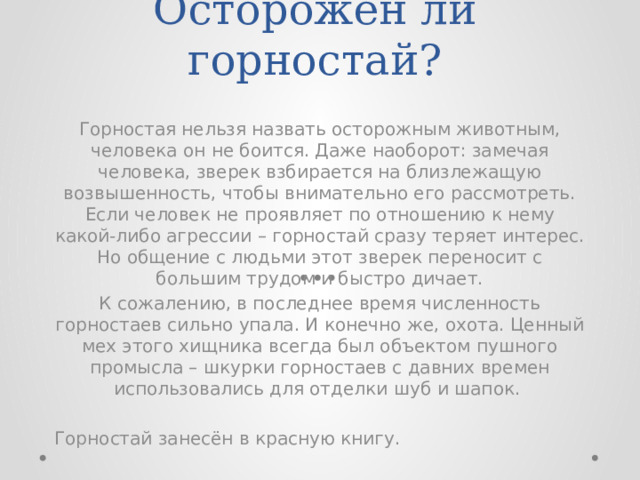 Осторожен ли горностай? Горностая нельзя назвать осторожным животным, человека он не боится. Даже наоборот: замечая человека, зверек взбирается на близлежащую возвышенность, чтобы внимательно его рассмотреть. Если человек не проявляет по отношению к нему какой-либо агрессии – горностай сразу теряет интерес. Но общение с людьми этот зверек переносит с большим трудом и быстро дичает. К сожалению, в последнее время численность горностаев сильно упала. И конечно же, охота. Ценный мех этого хищника всегда был объектом пушного промысла – шкурки горностаев с давних времен использовались для отделки шуб и шапок. Горностай занесён в красную книгу. 
