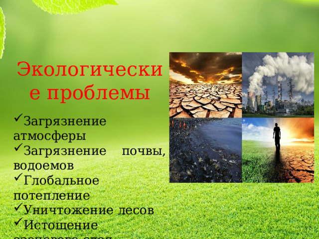 Экологические проблемы Загрязнение атмосферы Загрязнение почвы, водоемов Глобальное потепление Уничтожение лесов Истощение озонового слоя Опустынивание земель 
