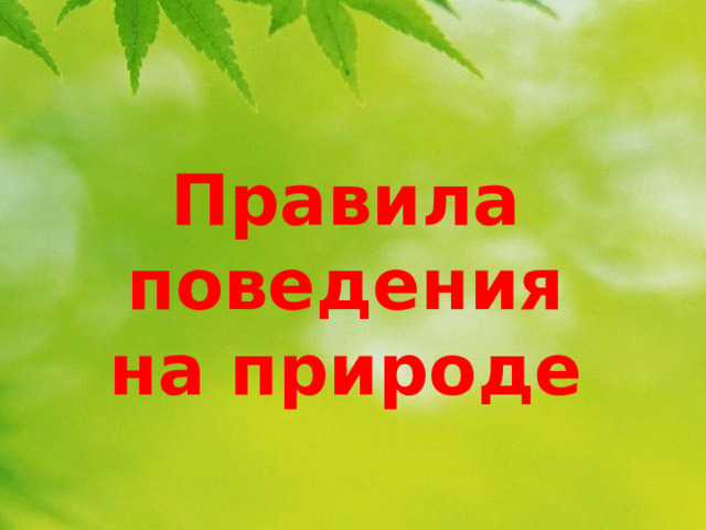 Правила  поведения на природе 
