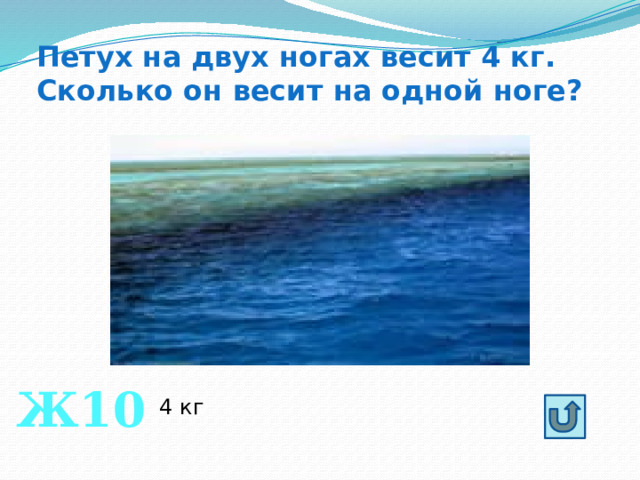 Петух на двух ногах весит 4 кг. Сколько он весит на одной ноге? Ж10 4 кг 