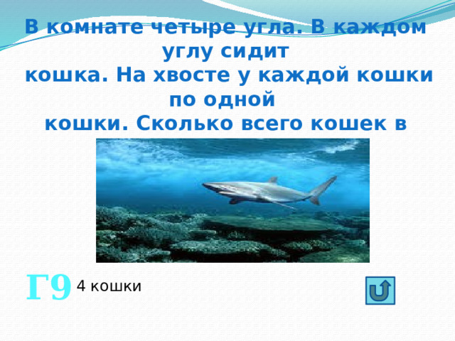 В комнате четыре угла. В каждом углу сидит  кошка. На хвосте у каждой кошки по одной кошки. Сколько всего кошек в комнате? Г9 4 кошки 