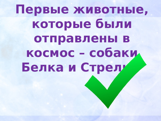 Первые животные, которые были отправлены в космос – собаки Белка и Стрелка 
