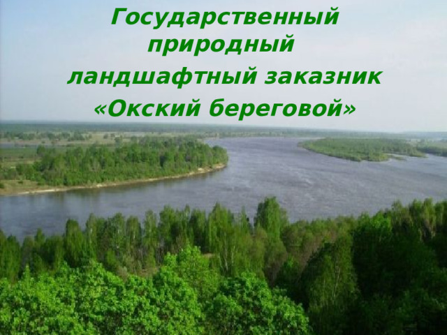 Государственный природный ландшафтный заказник «Окский береговой»  