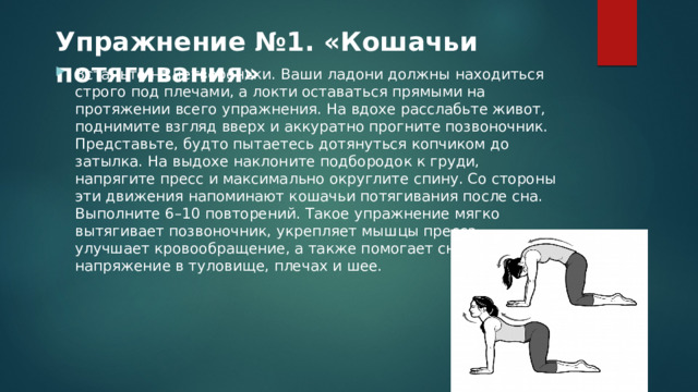 Упражнение №1. «Кошачьи потягивания»   Встаньте на четвереньки. Ваши ладони должны находиться строго под плечами, а локти оставаться прямыми на протяжении всего упражнения. На вдохе расслабьте живот, поднимите взгляд вверх и аккуратно прогните позвоночник. Представьте, будто пытаетесь дотянуться копчиком до затылка. На выдохе наклоните подбородок к груди, напрягите пресс и максимально округлите спину. Со стороны эти движения напоминают кошачьи потягивания после сна. Выполните 6–10 повторений. Такое упражнение мягко вытягивает позвоночник, укрепляет мышцы пресса, улучшает кровообращение, а также помогает снять напряжение в туловище, плечах и шее. 