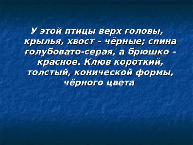 У этой птицы верх головы, крылья, хвост – чёрные; спина голубовато-серая, а брюшко – красное. Клюв короткий, толстый, конической формы, чёрного цвета 