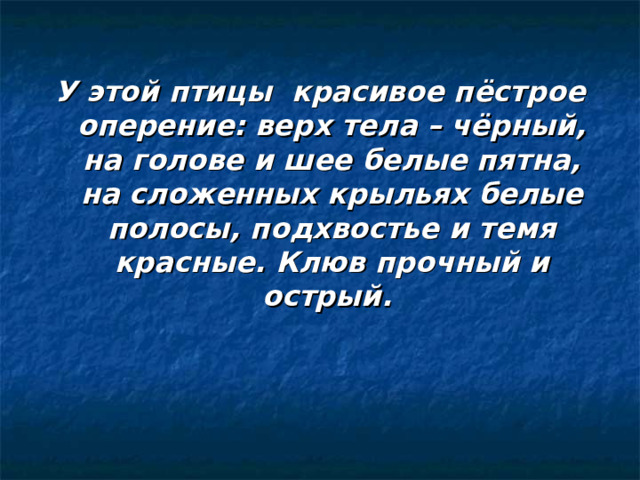 У этой птицы красивое пёстрое оперение: верх тела – чёрный, на голове и шее белые пятна, на сложенных крыльях белые полосы, подхвостье и темя красные. Клюв прочный и острый. 
