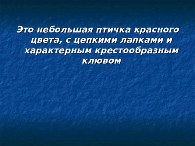 Это небольшая птичка красного цвета, с цепкими лапками и характерным крестообразным клювом 