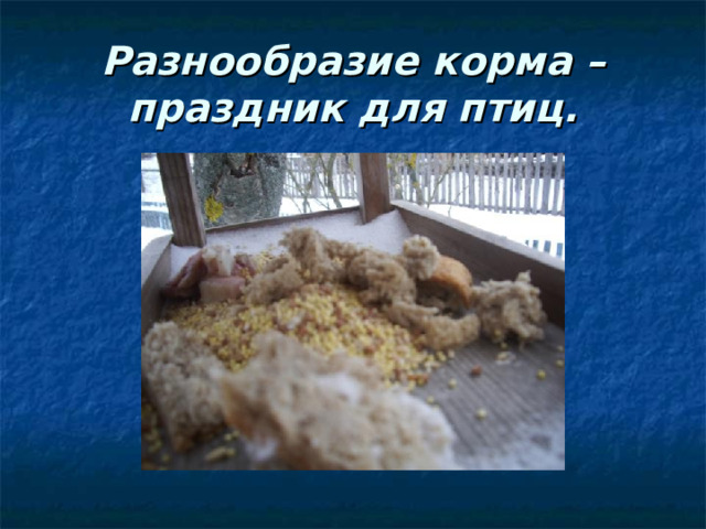 Разнообразие корма – праздник для птиц. 