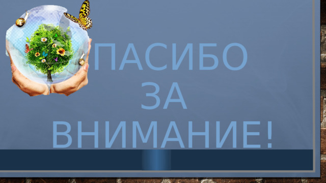 Спасибо  за внимание! 