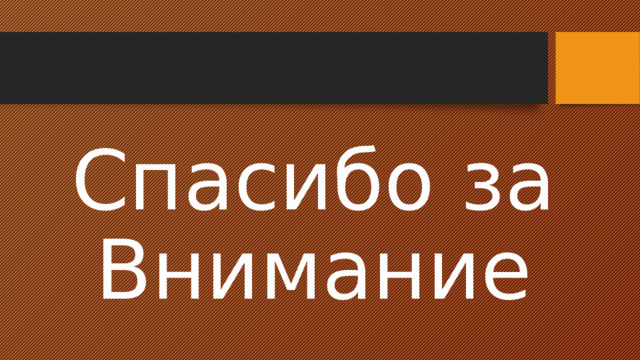 Спасибо за  Внимание 