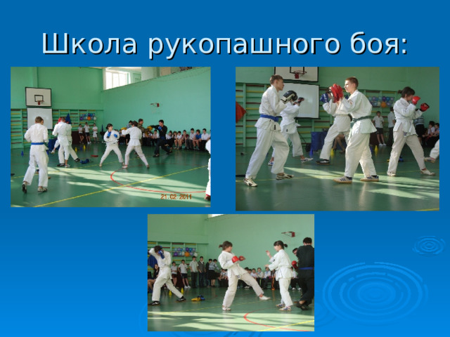 Школа рукопашного боя: 