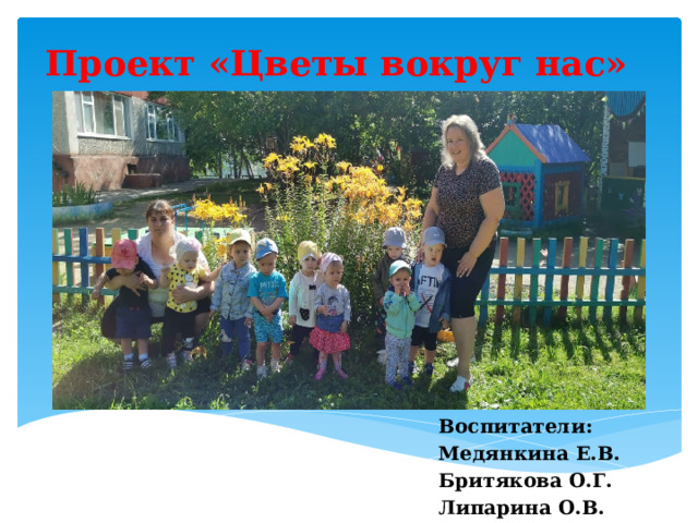Проект «Цветы вокруг нас» Воспитатели: Медянкина Е.В. Бритякова О.Г. Липарина О.В. 